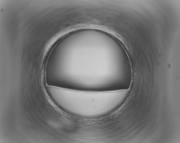 X0000085761511200703160850