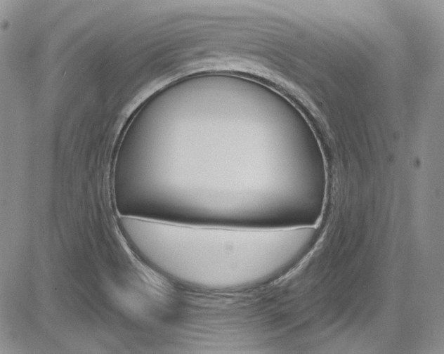 X0000085761513200703160850
