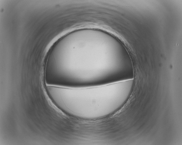 X0000085761518200703160850