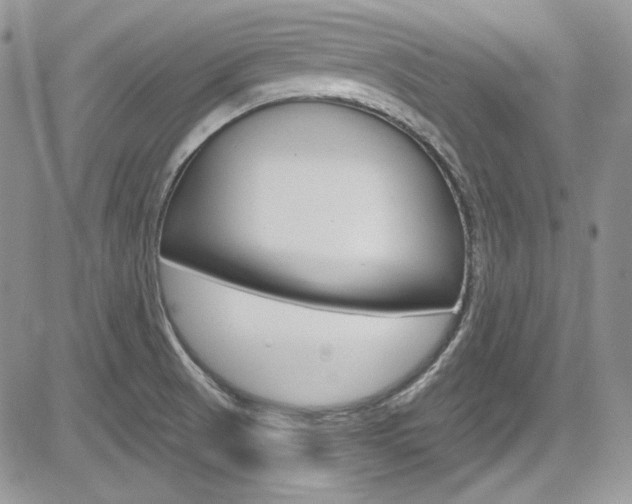 X0000085761521200703160850