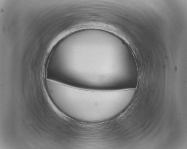X0000085761523200703160850
