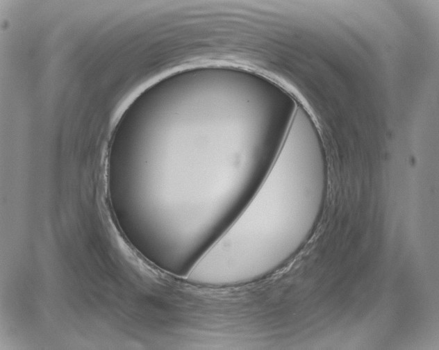 X0000085761524200703160850