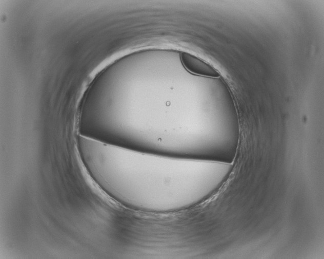 X0000085761526200703160850