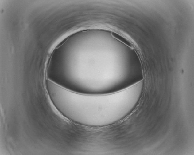 X0000085761528200703160850