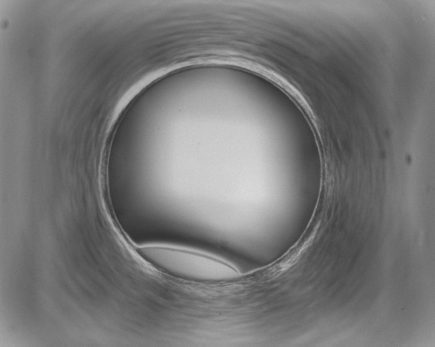 X0000085761533200703160850