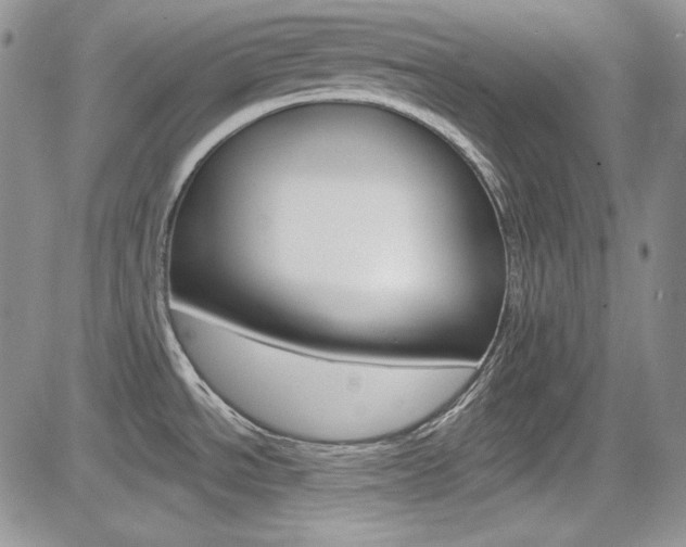 X0000085761534200703160850