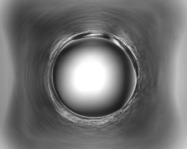 X0000085760001200703161129