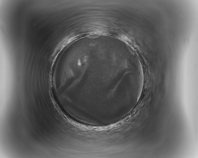X0000085760002200703161129
