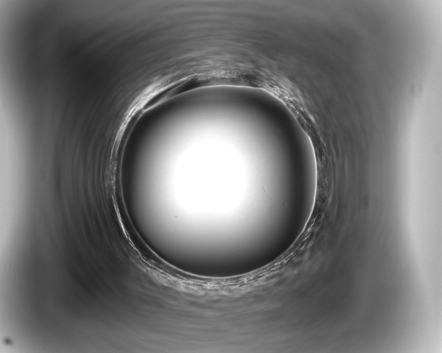 X0000085760003200703161129