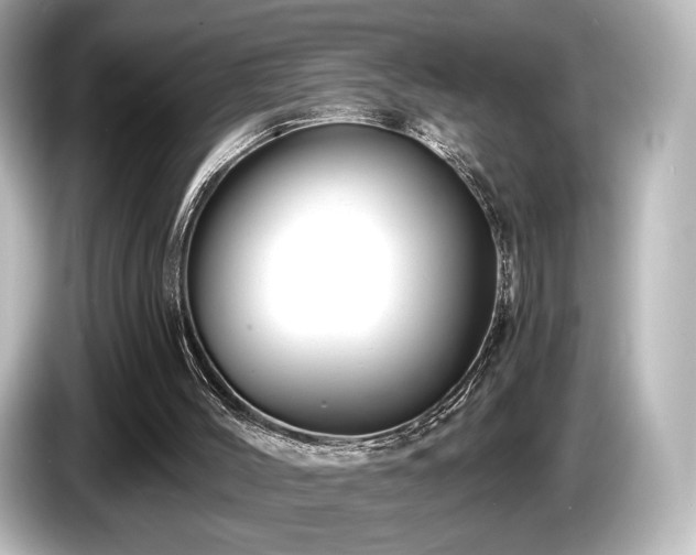 X0000085760004200703161129