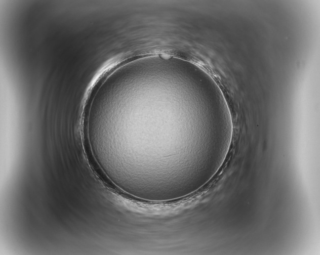 X0000085760006200703161129