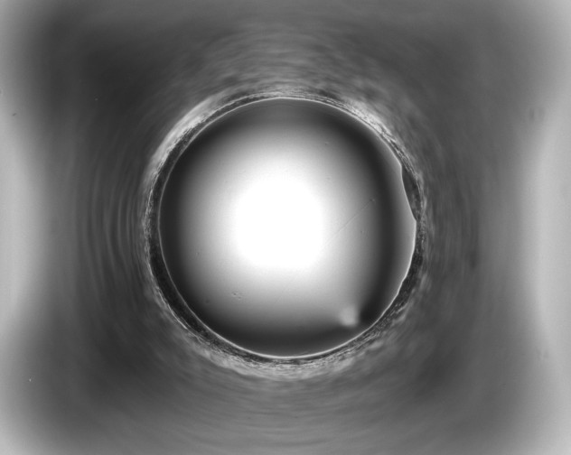 X0000085760007200703161129