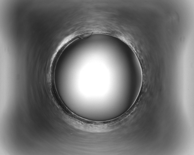X0000085760008200703161129