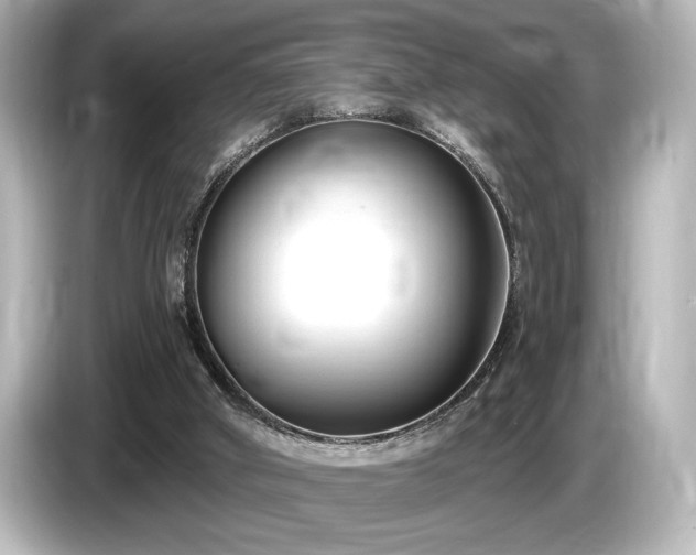 X0000085760010200703161129