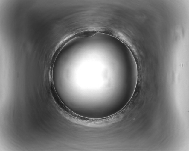 X0000085760011200703161129