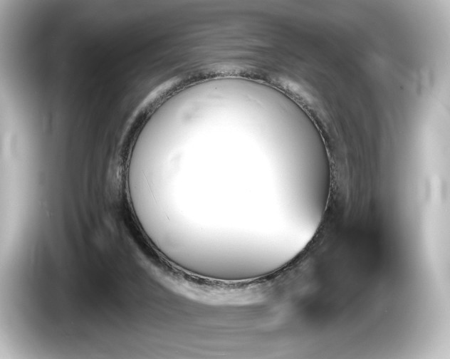 X0000085760016200703161129