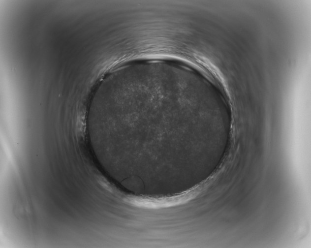 X0000085760017200703161129