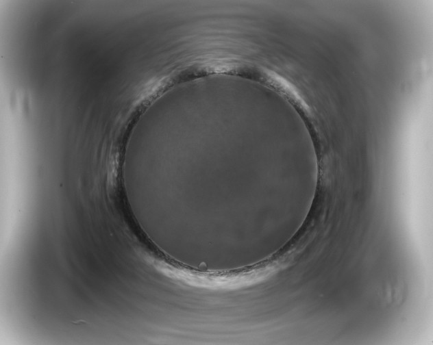 X0000085760018200703161129