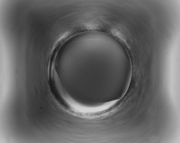 X0000085760019200703161129