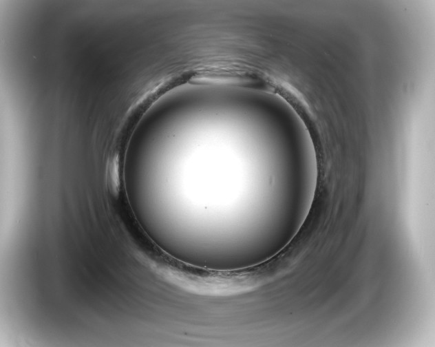 X0000085760020200703161129