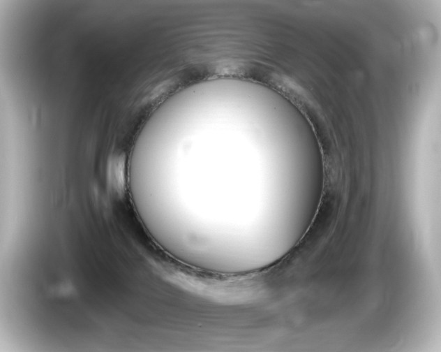 X0000085760028200703161129