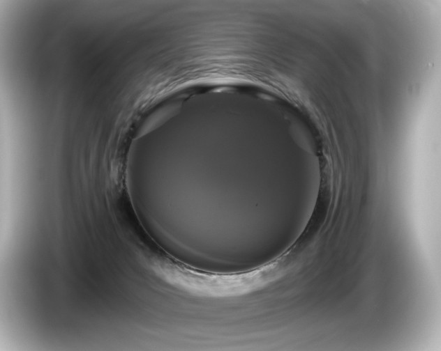 X0000085760031200703161129