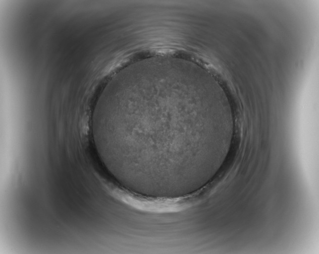 X0000085760032200703161129