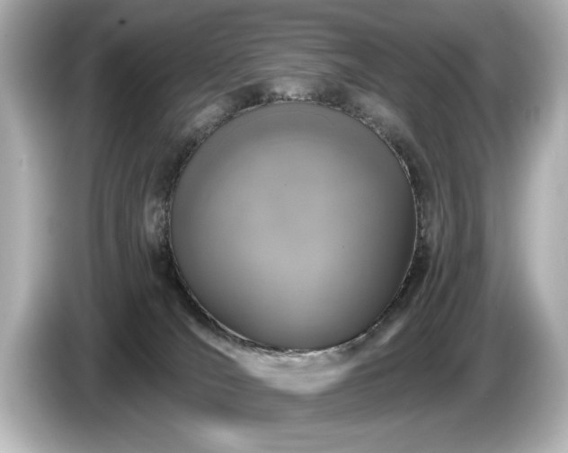 X0000085760036200703161129