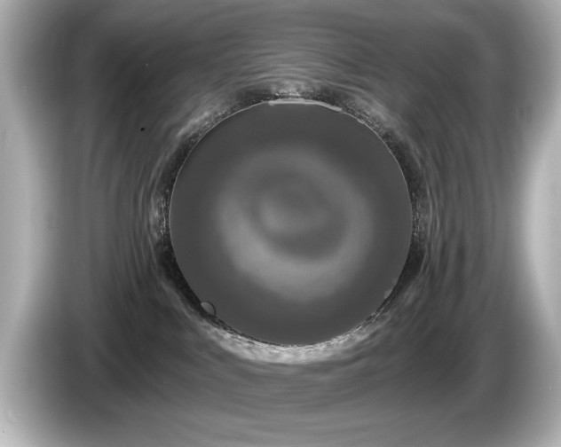 X0000085760043200703161128