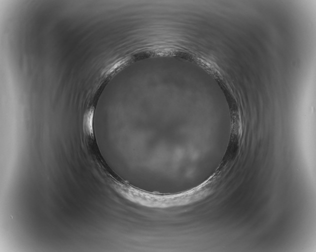 X0000085760047200703161128
