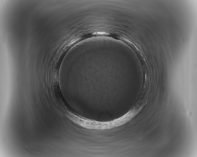 X0000085760048200703161128
