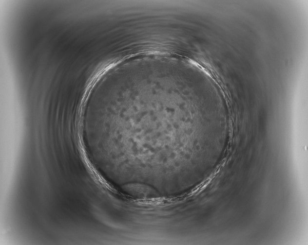 X0000085760049200703161128