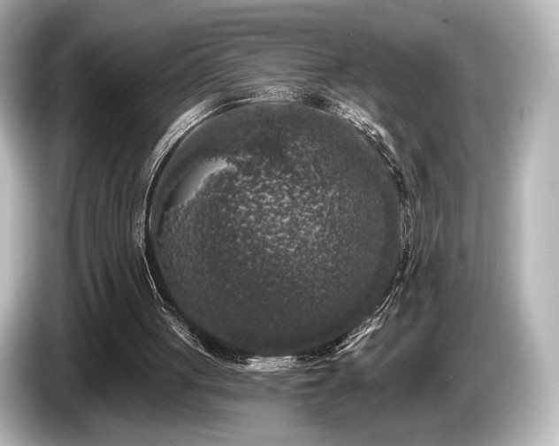 X0000085760051200703161128