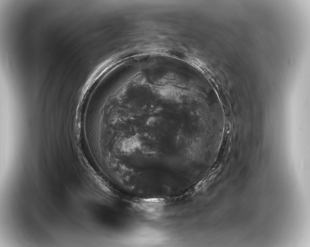 X0000085760053200703161128