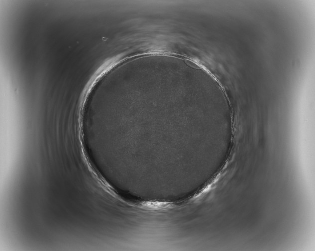 X0000085760055200703161128