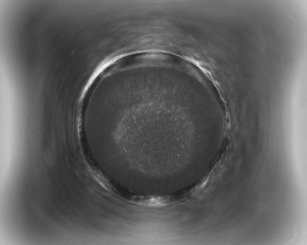 X0000085760056200703161128