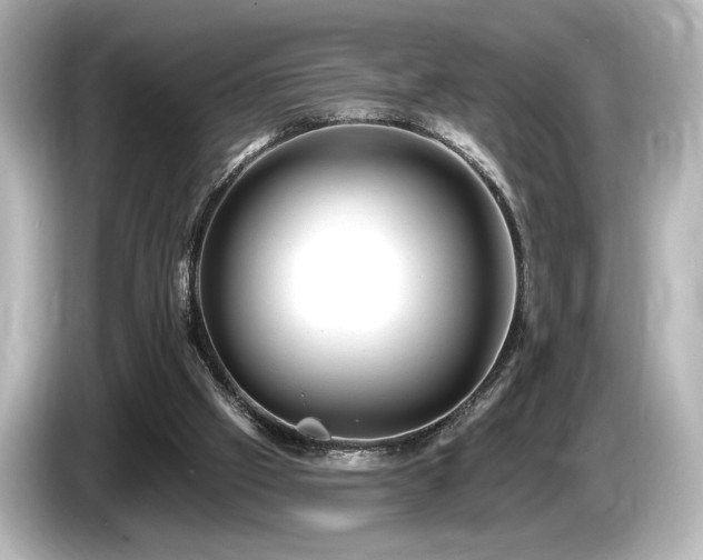 X0000085760057200703161128