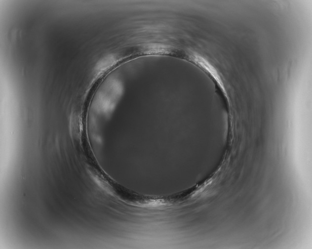 X0000085760059200703161128