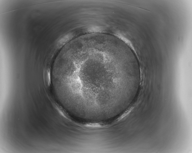 X0000085760061200703161128