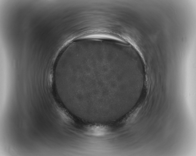 X0000085760063200703161128