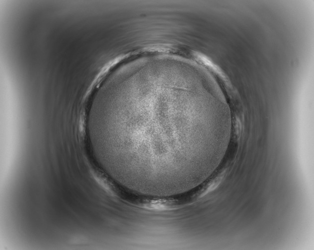 X0000085760064200703161128