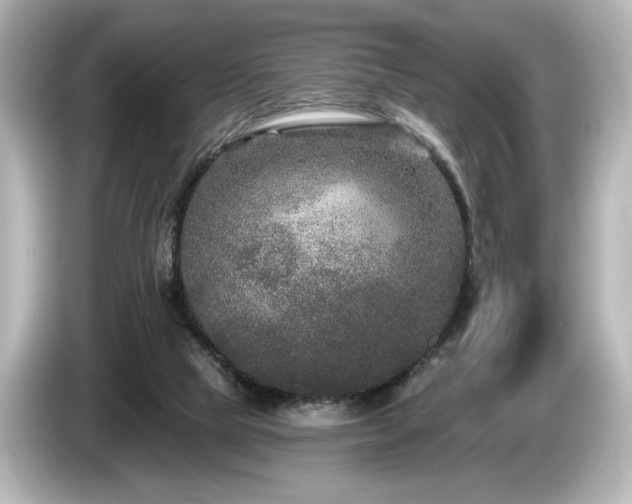 X0000085760065200703161128