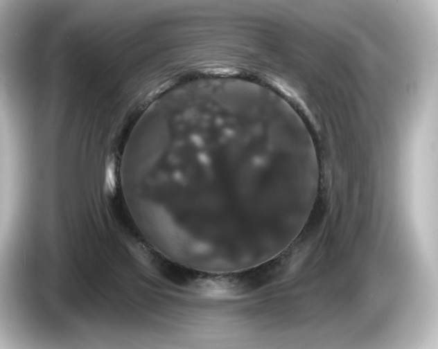 X0000085760069200703161128