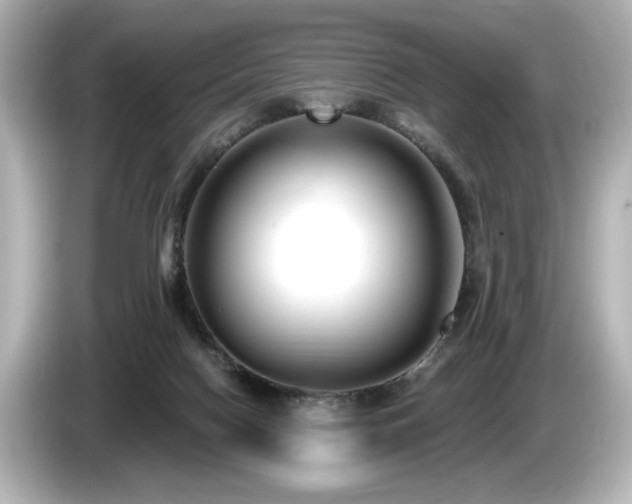X0000085760074200703161128