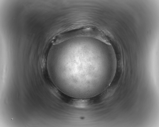 X0000085760081200703161128