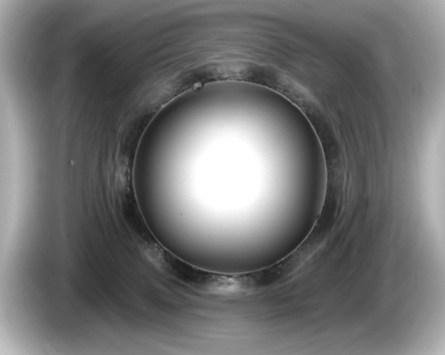X0000085760083200703161128