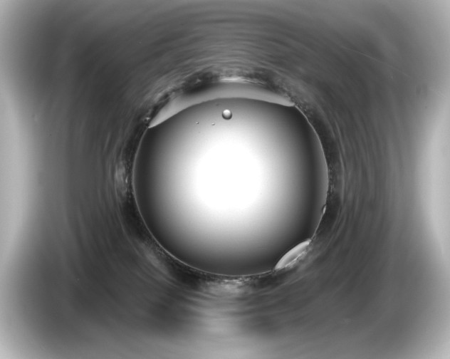 X0000085760086200703161128