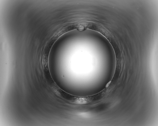 X0000085760091200703161128