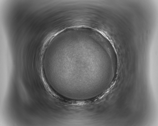 X0000085760097200703161128
