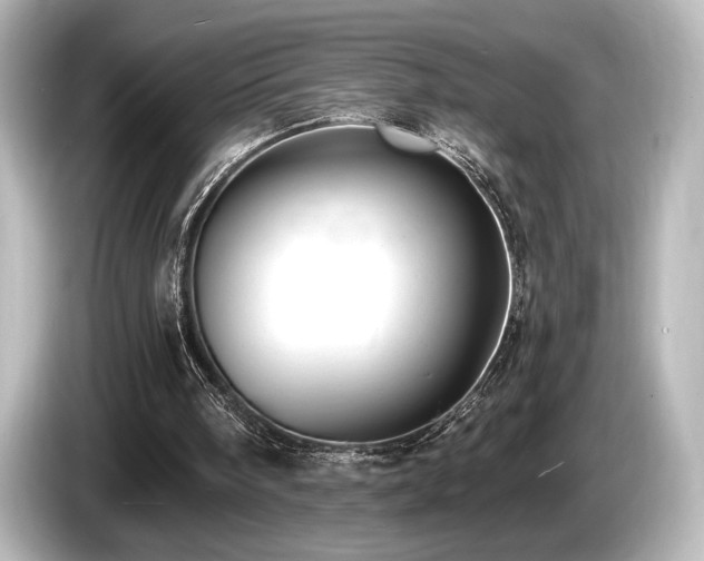 X0000085760098200703161128